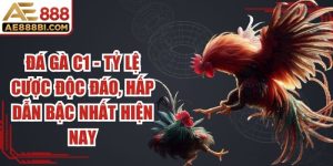 Đá Gà C1