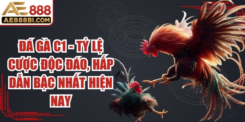 Đá Gà C1