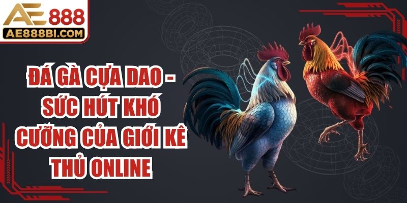 Đá Gà Cựa Dao