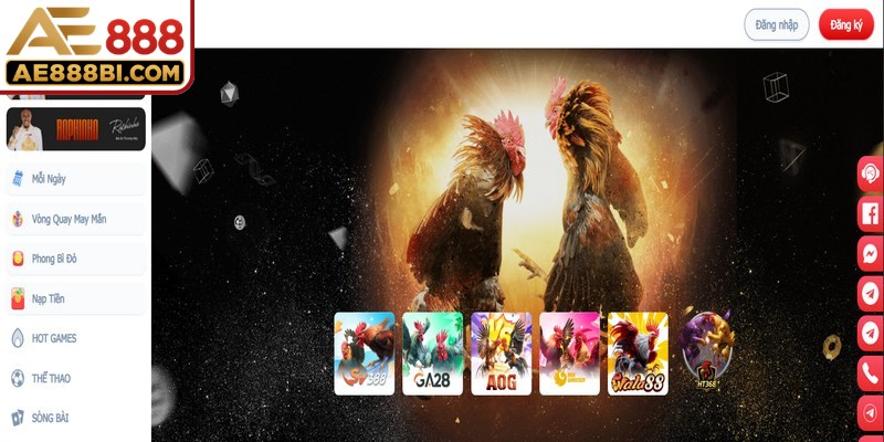 Đá gà đem đến trải nghiệm nhiều thể loại tranh tài đa dạng